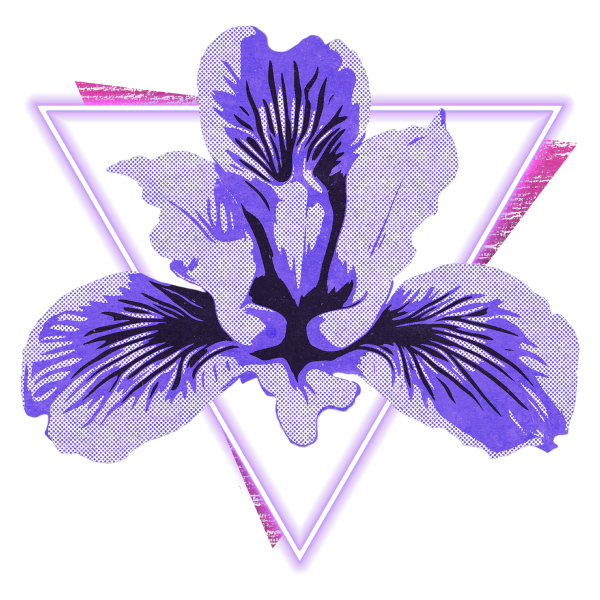 File:Team Iris.png